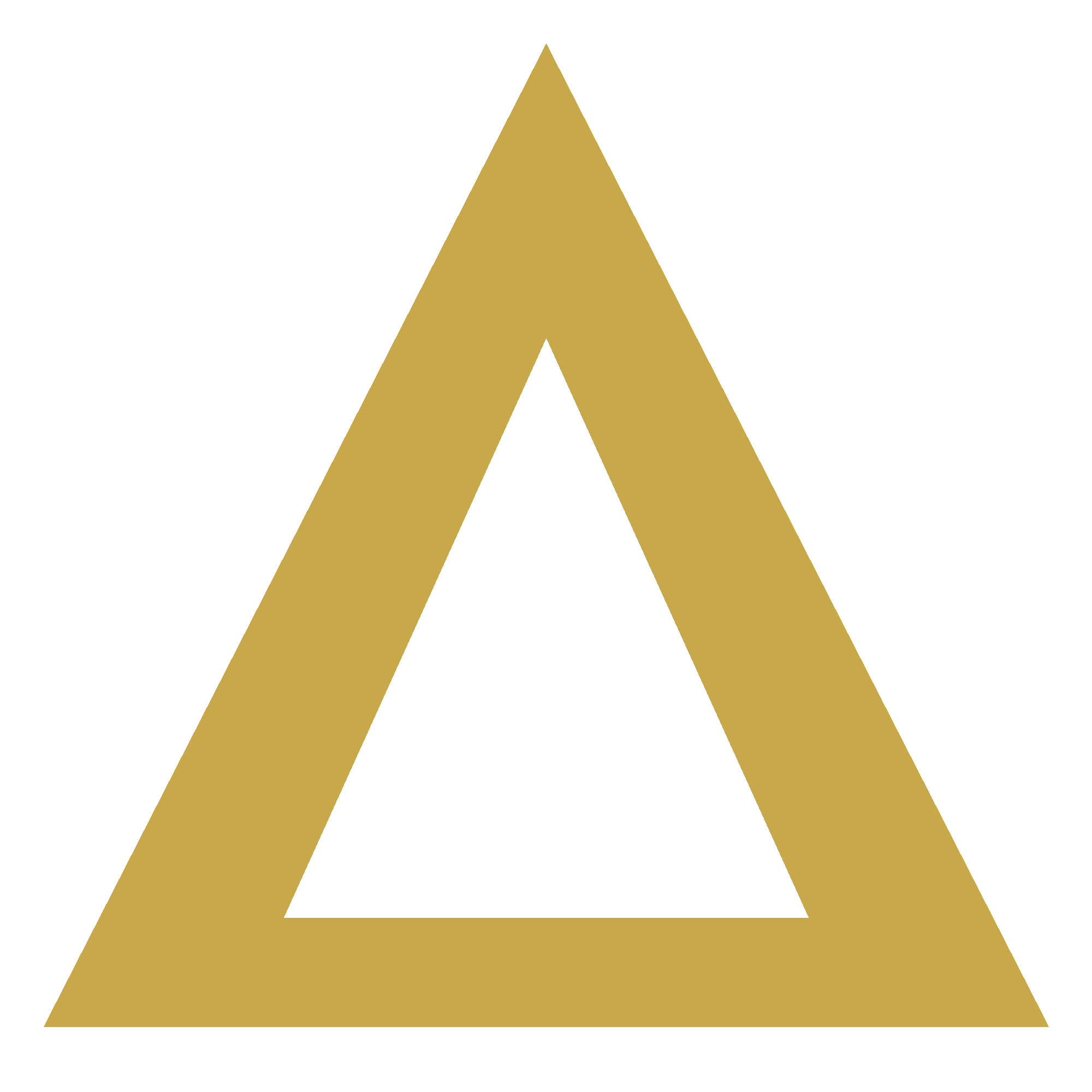 AURAMAX GYMSKIN